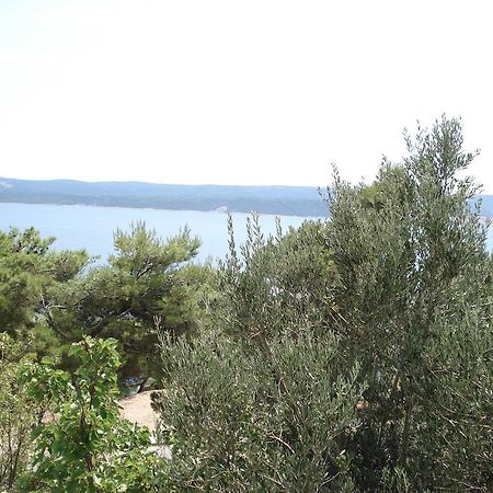 Apartments Mladina Mimice Εξωτερικό φωτογραφία