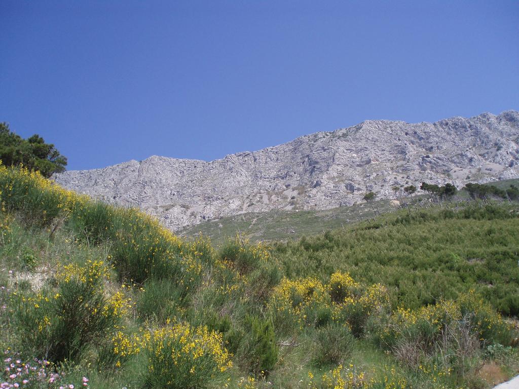 Apartments Mladina Mimice Εξωτερικό φωτογραφία