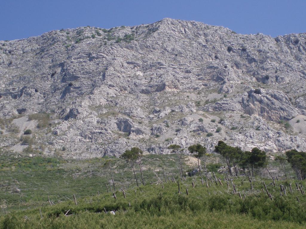 Apartments Mladina Mimice Εξωτερικό φωτογραφία
