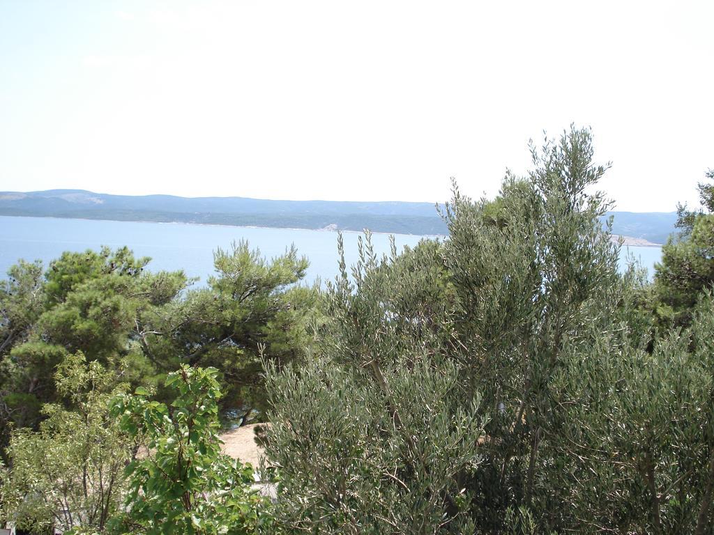 Apartments Mladina Mimice Εξωτερικό φωτογραφία